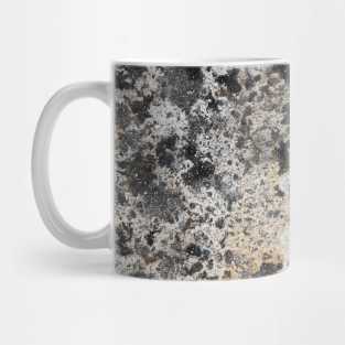 Granodiorite Mug